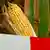 Mit einem Absperrband ist am 29.09.2004 ein gentechnisch verändertes Maisfeld nahe Ramin im Landkreis Uecker-Randow gekennzeichnet (Archivfoto). Das Landwirtschaftsministerium Mecklenburg-Vorpommerns und der Verein zur Förderung Innovativer und Nachhaltiger Agrobiotechnologie (FINAB e.V.) hatten zu einer Informationsveranstaltung zum Erprobungsanbau von gentechnisch verändertem Mais eingeladen. Im Bundesland wird an zwei Standorten unter wissenschaftlicher Leitung des FINAB e.V. und unter der Schirmherrschaft des Landwirtschaftsministeriums Erprobungsanbau mit gentechnisch verändertem Mais betrieben. Es gilt als sicher, dass die Regelungen des Gentechnik-Gesetzes mit rot-grüner Kanzlermehrheit vom Bundestag am Freitag (26.11.2004) verabschiedet werden. Foto: Patrick Pleul dpa***Zu Hille, Klare Kennzeichnung für Verbraucher? Bundesrat entscheidet über Gentechnik-Gesetz***