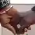 Homossexuais de mãos dadas na Nigéria