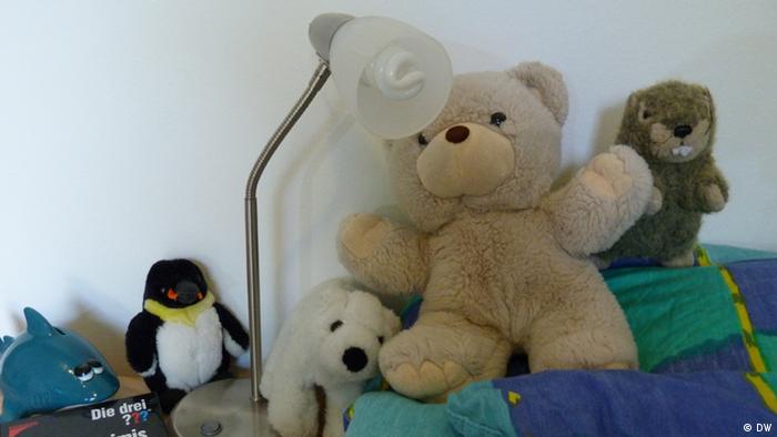 Energiesparlampe vor Teddybären (Bild: DW)