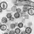 Ein mikroskopischer Blick auf Partikel des Hantavirus (Foto: rtr)