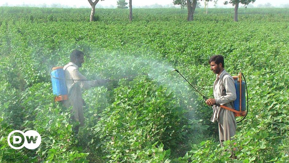 Atlas de los Pesticidas: la huella de un negocio tóxico en el mundo |  Economía | DW 