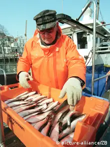 Fischfang