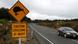 Kiwis auf einem Verkehrsschild in Neuseeland (Foto: Ulrike Sommer/DW) Kiwis auf einem Verkehrsschild in Neuseeland (Foto: Ulrike Sommer/DW)