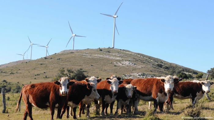 Energía eólica en Uruguay.