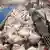 Hundreds of chickens crammed into a small industrial space Poto: PETA dpa/lni