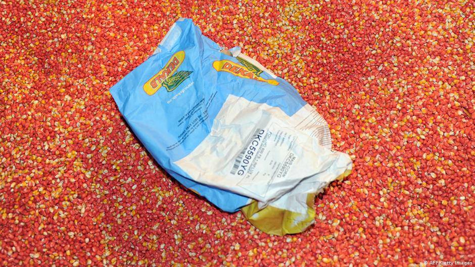 Inadequate GM corn study? DW 10/04/2012