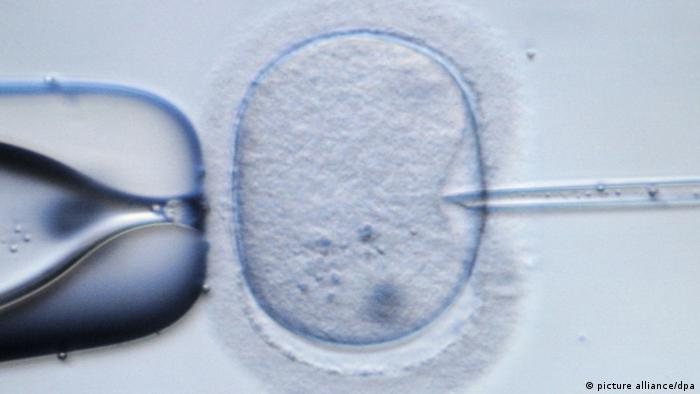 A microscopic image of a human egg cell