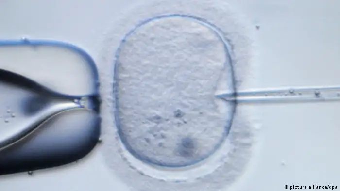 Deutschland Medizin künstliche Befruchtung IVF