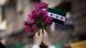 In this Friday, Sept. 21, 2012 photo, a Syrian woman holds a bouquet of flowers and rebel flag during a demonstration in the Bustan al-Qasr neighborhood of Aleppo, Syria. The Britain-based Syrian Observatory for Human Rights said Friday that nearly 30,000 Syrians have been killed during the 18-month uprising against the Assad regime. (Foto: Manu Brabo/AP/dapd). In this Friday, Sept. 21, 2012 photo, a Syrian woman holds a bouquet of flowers and rebel flag during a demonstration in the Bustan al-Qasr neighborhood of Aleppo, Syria. The Britain-based Syrian Observatory for Human Rights said Friday that nearly 30,000 Syrians have been killed during the 18-month uprising against the Assad regime. (Foto: Manu Brabo/AP/dapd).