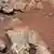 Rover Curiosity fotografierte erstmals Flusskiesel auf dem Mars (Foto:dapd/NASA)