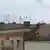 Krähen auf einem Berliner Dach (Foto: Henning Onken)