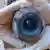 Large eye found washed onto a Florida beach - to symbolize eye control