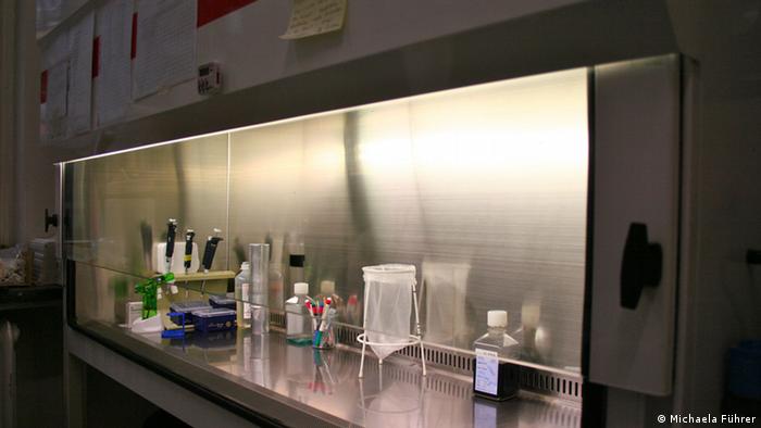 La malaria, bajo el microscopio | Global Ideas | DW | 23.10.2012