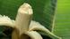 31.10.2012 DW Fit und Gesund Banane 31.10.2012 DW Fit und Gesund Banane
