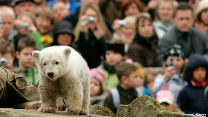 Deutschland Zoo Eisbär Knut