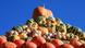 Kürbis-Ausstellung Galerie 002 Kürbis-Ausstellung Galerie 002