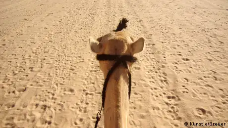 Blick vom Kamelrücken