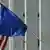 Symbolbild Flaggen USA und EU