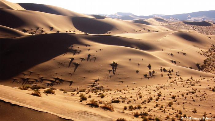 Sanddünen in der Namib-Wüste in Namibia