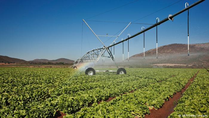Symbolbild Bewässerung Landwirtschaft Afrika Südafrika 