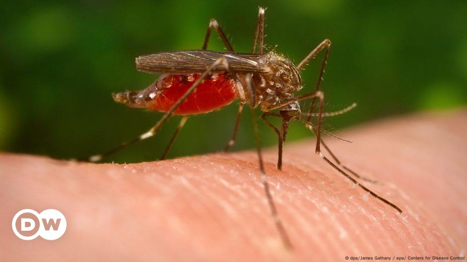 WHO worried over increase in vector-borne diseases – DW – 04/09/2014