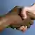 Zwei Hände, schwarz und weiß, halten einander fest (Copyright:Andreas Wolf) Symbolbild Entwicklungshelfer, Entwicklungshilfe,