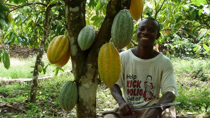 Ein Kakaobauer, der für Kraft Foods arbeitet (Foto: Rainforest Alliance, Alex Morgan)