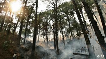 Smoke from a fire in the El Tamagas forest in Honduras