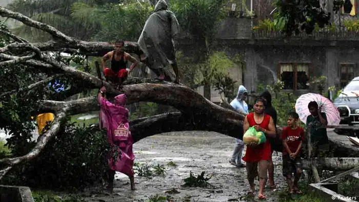 Residents saw an uprooted tree to clear the road after Typhoon Bopha hit Tagum City, southern Philippines December 4, 2012. Typhoon Bopha made landfall in southern Philippines early Tuesday, bringing heavy rains and strong winds, forcing 41,600 people living in coastal areas to flee their homes. REUTERS/Stringer (PHILIPPINES - Tags: DISASTER ENVIRONMENT SOCIETY)