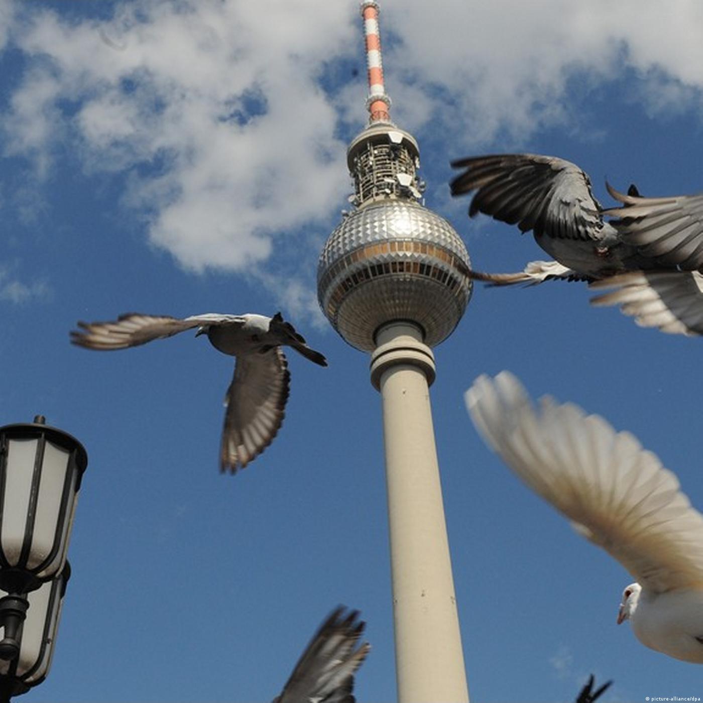 Living Planet: Bird's-eye view