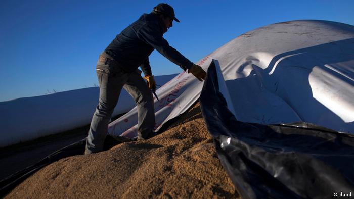 A worker opens a portable silo bag to load into a truck to be transported for sale at a farm near Pergamino, Argentina. China is the leading buyer of Argentine soybeans, with most of the country's fertile land nowadays covered with the crop Copyright: Natacha Pisarenko/AP/dapd