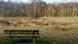 ***Achtung: SCHLECHTE Qualität - nicht als Teaser- oder Karusselbild verwenden!*** Wer hat das Bild gemacht/Fotograf?: Anja Kueppers-McKinnon Wann wurde das Bild gemacht?: November 2012 Wo wurde das Bild aufgenommen?: Wimbledon Common in southwest London Bildbeschreibung: Bei welcher Gelegenheit / in welcher Situation wurde das Bild aufgenommen? Wer oder was ist auf dem Bild zu sehen? Ash tree in Great Britian ***Achtung: SCHLECHTE Qualität - nicht als Teaser- oder Karusselbild verwenden!*** Wer hat das Bild gemacht/Fotograf?: Anja Kueppers-McKinnon Wann wurde das Bild gemacht?: November 2012 Wo wurde das Bild aufgenommen?: Wimbledon Common in southwest London Bildbeschreibung: Bei welcher Gelegenheit / in welcher Situation wurde das Bild aufgenommen? Wer oder was ist auf dem Bild zu sehen? Ash tree in Great Britian