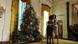 Bildergalerie Geschichte Weihnachtsbaum Bildergalerie Geschichte Weihnachtsbaum
