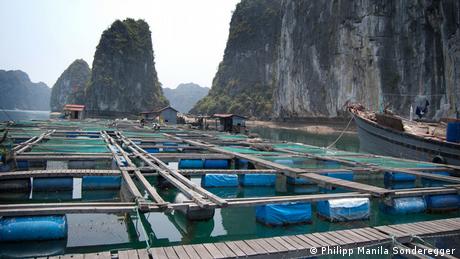 Aquakultur / Schwimmende Fischzucht, Ha Long, Vietnam
