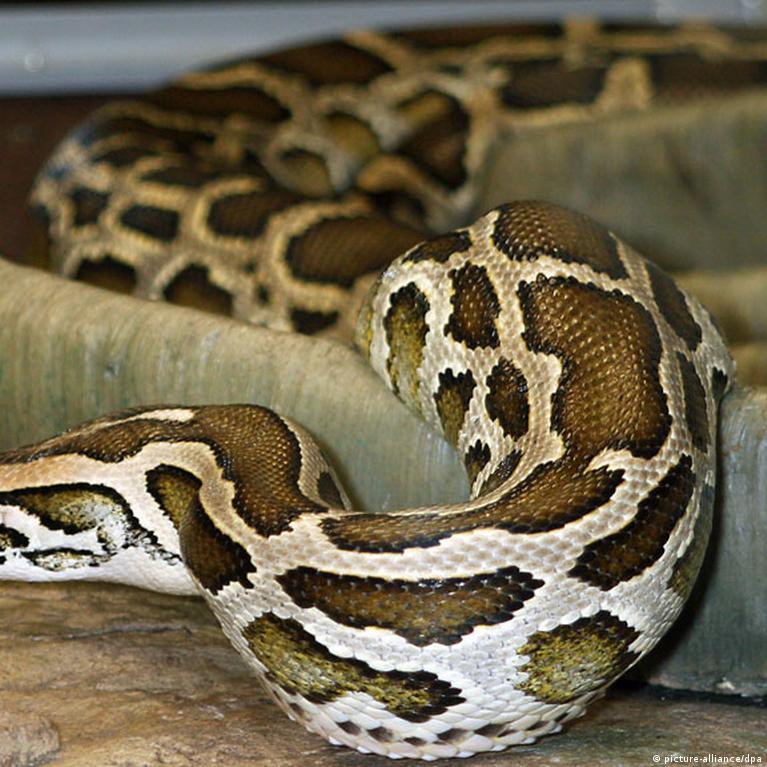 Ular klinika hojatxonasida siyadilar