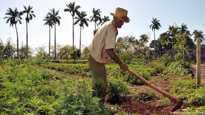 Kuba Landwirtschaft