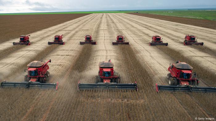 Soja Plantage in Brasilien