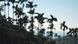 Global Ideas, Taiwan Wind und Wald Global Ideas, Taiwan Wind und Wald