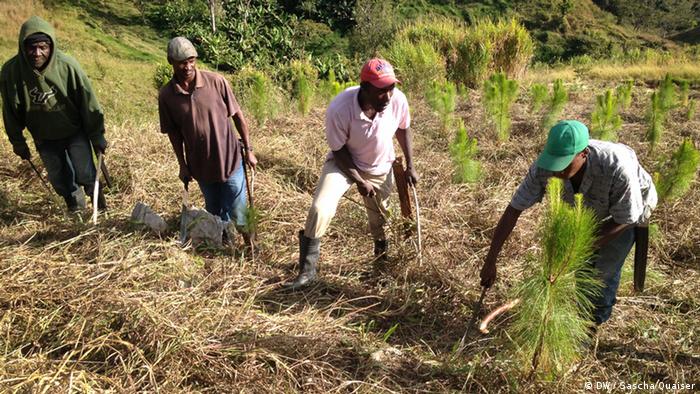 Teaser / Global Ideas / Dominikanische Republik / für die Globalideas Webseite