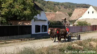 Pferdewagen in Rumänien