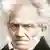 Arthur Schopenhauer 1860