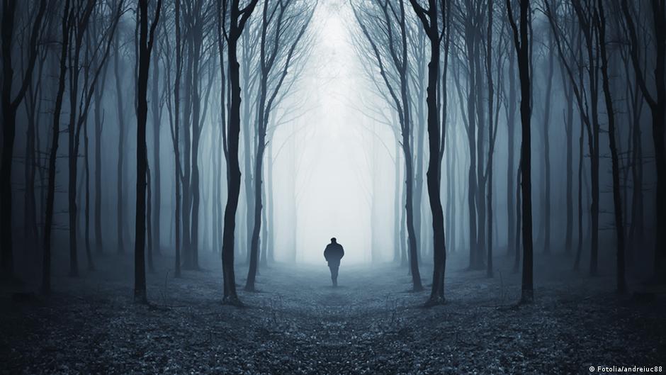 Perubahan Iklim Pengaruhi Metabolisme Hutan Iptek Laporan Seputar Sains Dan Teknologi Dan Lingkungan Dw 20 09 2014