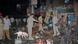 Investigating officers use a sniffer dog as they inspect the site of an explosion at Dilsukh Nagar, in the southern Indian city of Hyderabad February 21, 2013. Two bombs placed on bicycles exploded in a crowded market-place in Hyderabad on Thursday, and the federal home minister said at least 11 people were killed and 50 wounded. REUTERS/Stringer (INDIA - Tags: CIVIL UNREST DISASTER ANIMALS) Investigating officers use a sniffer dog as they inspect the site of an explosion at Dilsukh Nagar, in the southern Indian city of Hyderabad February 21, 2013. Two bombs placed on bicycles exploded in a crowded market-place in Hyderabad on Thursday, and the federal home minister said at least 11 people were killed and 50 wounded. REUTERS/Stringer (INDIA - Tags: CIVIL UNREST DISASTER ANIMALS)