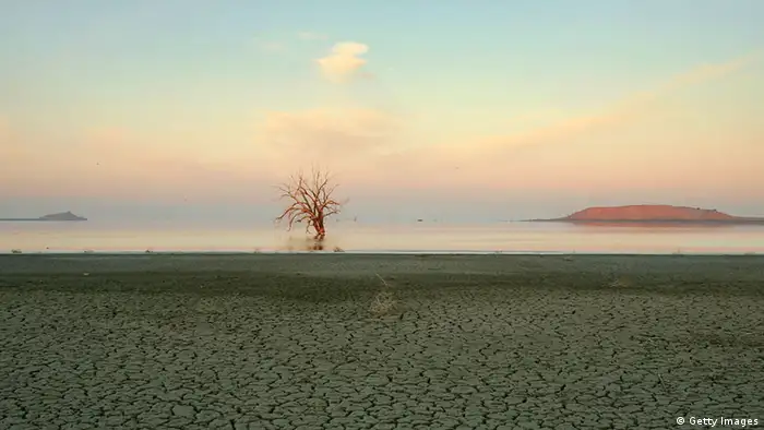 SALTON CITY, CA - OCTOBER 22: A tree killed by rising salt water is seen beyond a mud flat at dawn on the east shore of the Salton Sea on October 22, 2005 across the lake from Salton City, California. A controversial plan put forth by the Salton Sea Authority board, the agency that manages the Salton Sea, proposes building up to 200-thousand homes, including some on a former atomic weapons testing site, to help fund restoration of the lake which reportedly faces ecological collapse. Critics fear the shuttered Salton Sea Test Base is polluted with depleted uranium that could threaten the health of future residents, and that such a development boom could eliminate resting and nesting places for the more than 400 species of birds using this important migratory stop-over that the restoration plan is supposed to help. (Photo by David McNew/Getty Images)