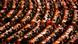 BEIJING, CHINA - MARCH 14: Delegates take their seats for the closing session of the National Peoples Congress (NPC) at The Great Hall Of The People on March 14, 2012 in Beijing, China. The National People's Congress (NPC), China's parliament, adopted the revision to the Criminal Procedure Law at the closing session of its annual session today. (Photo by Lintao Zhang/Getty Images) BEIJING, CHINA - MARCH 14: Delegates take their seats for the closing session of the National Peoples Congress (NPC) at The Great Hall Of The People on March 14, 2012 in Beijing, China. The National People's Congress (NPC), China's parliament, adopted the revision to the Criminal Procedure Law at the closing session of its annual session today. (Photo by Lintao Zhang/Getty Images)