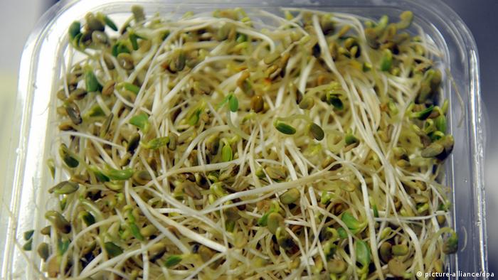 A container of sprouts