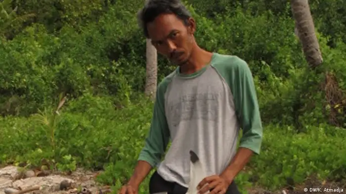 Getrockneten Hai Flosse in Raja Ampat Insel, Papua Indonesien, bereit zum Verkauf. Dokumentation über den illegalen Verkauf von Haifischflossen in Raja Ampat Insel, Papua, Indonesien.
