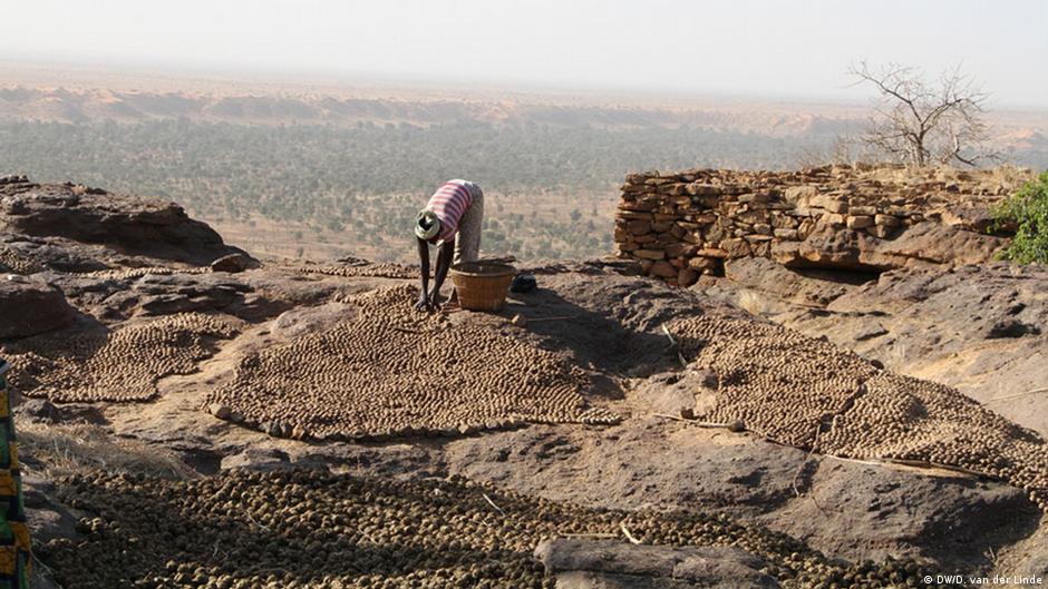 Mali-Konflikt bedroht Weltkulturerbe | Afrika | DW | 11.03.2013