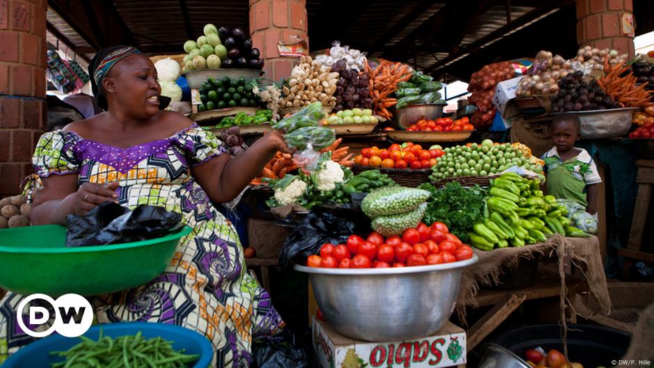 Agriculture  l′Afrique peutelle vraiment nourrir le monde ?  Arbre à