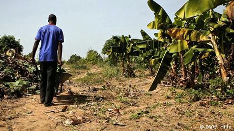 Les Defis De L Agriculture En Afrique Dw